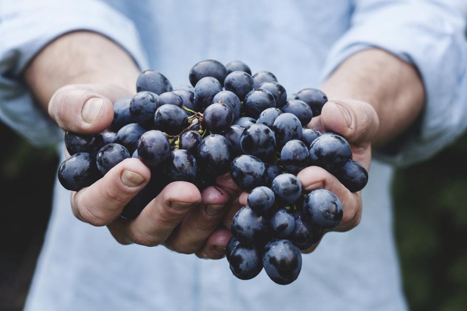 Some crops like blueberries increased production