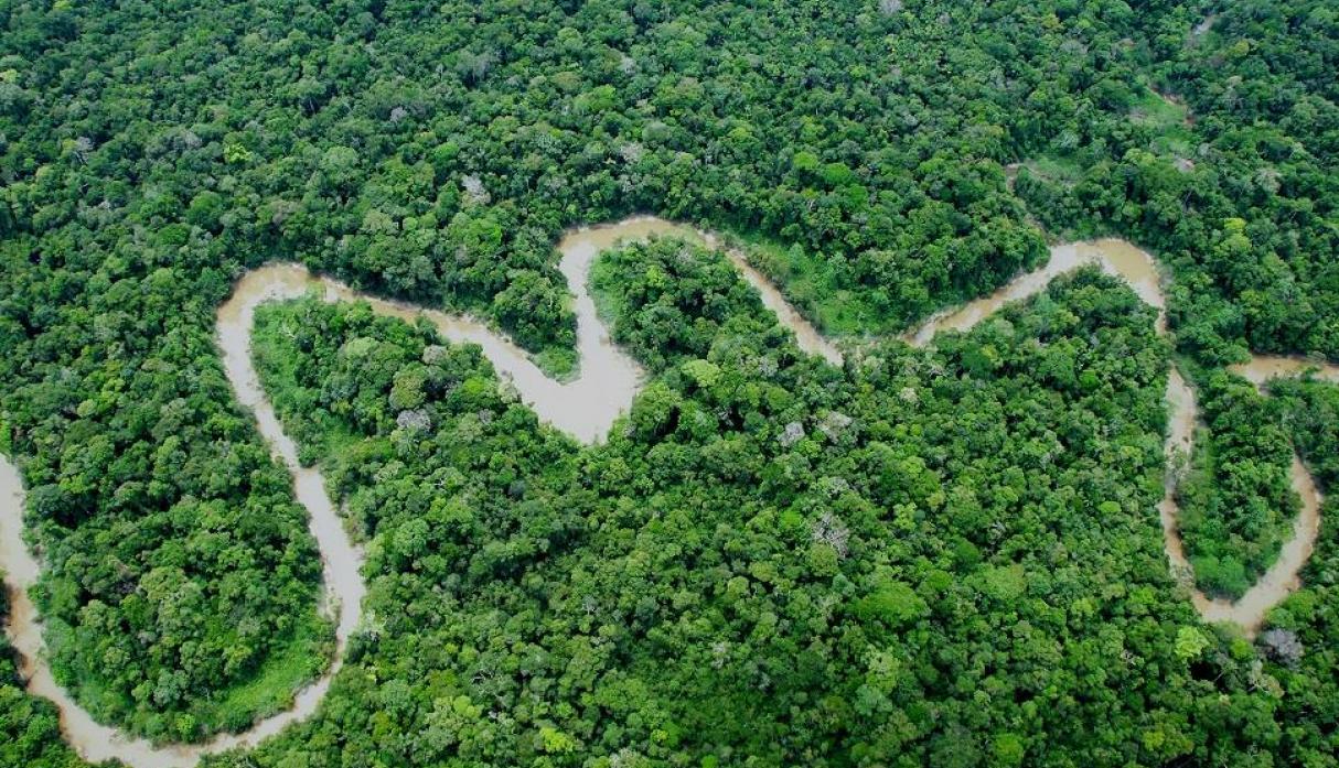 peru amazon