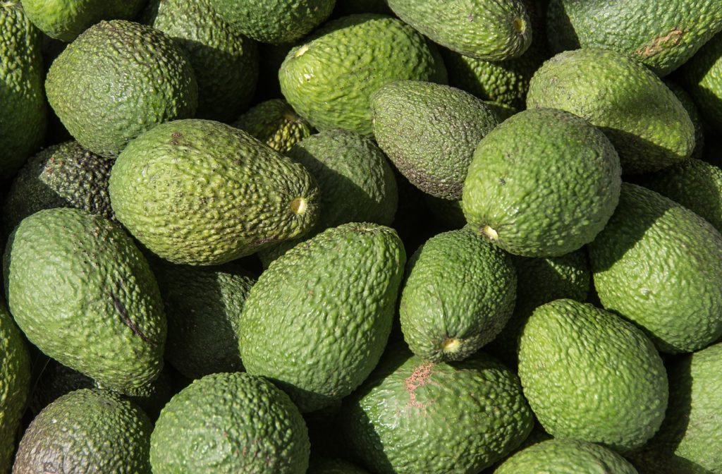 peru avocado